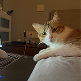 Runjie Zheng(郑润杰)